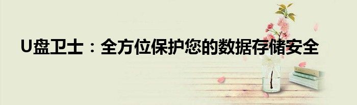 U盘卫士：全方位保护您的数据存储安全