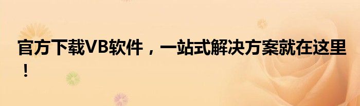 官方下载VB软件，一站式解决方案就在这里！