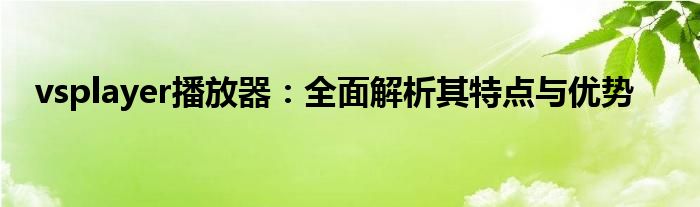 vsplayer播放器：全面解析其特点与优势