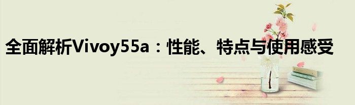 全面解析Vivoy55a：性能、特点与使用感受