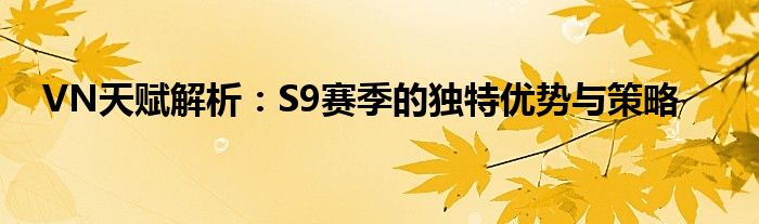 VN天赋解析：S9赛季的独特优势与策略