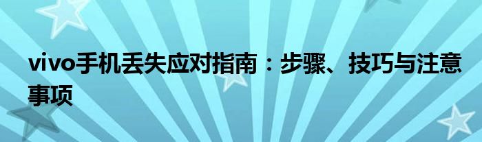 vivo手机丢失应对指南：步骤、技巧与注意事项