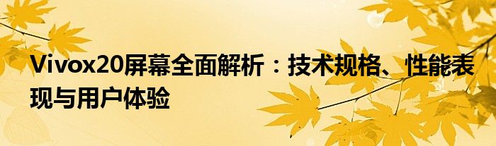 Vivox20屏幕全面解析：技术规格、性能表现与用户体验