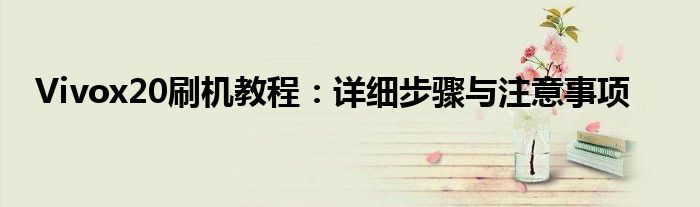 Vivox20刷机教程：详细步骤与注意事项