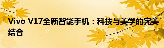 Vivo V17全新智能手机：科技与美学的完美结合