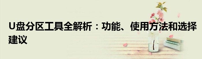U盘分区工具全解析：功能、使用方法和选择建议