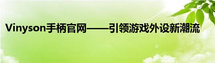 Vinyson手柄官网——引领游戏外设新潮流
