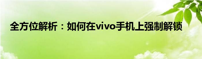 全方位解析：如何在vivo手机上强制解锁