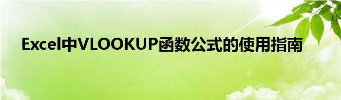 Excel中VLOOKUP函数公式的使用指南