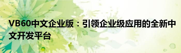 VB60中文企业版：引领企业级应用的全新中文开发平台