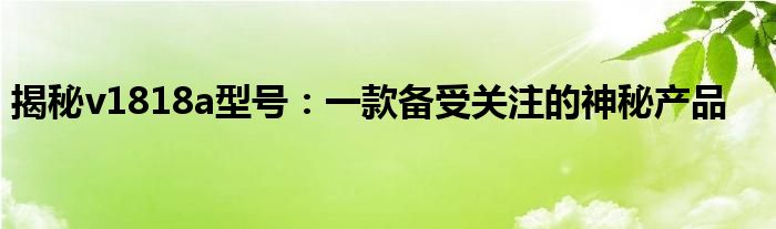 揭秘v1818a型号：一款备受关注的神秘产品