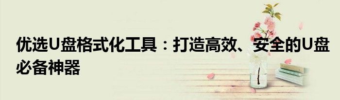 优选U盘格式化工具：打造高效、安全的U盘必备神器