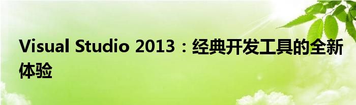 Visual Studio 2013：经典开发工具的全新体验