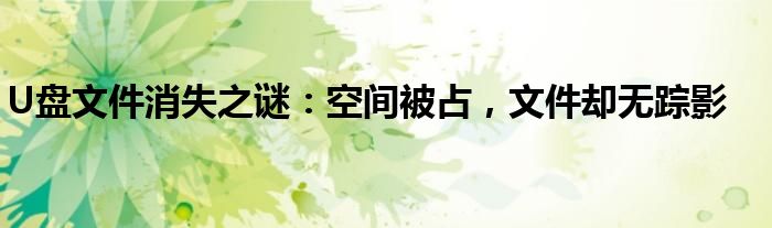 U盘文件消失之谜：空间被占，文件却无踪影