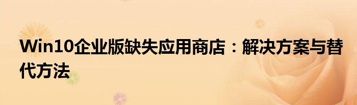 Win10企业版缺失应用商店：解决方案与替代方法