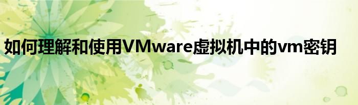 如何理解和使用VMware虚拟机中的vm密钥