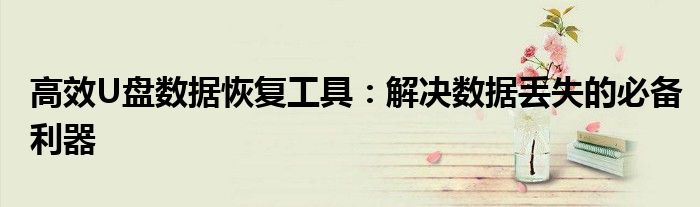 高效U盘数据恢复工具：解决数据丢失的必备利器