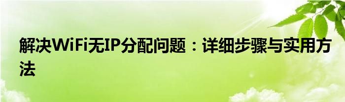 解决WiFi无IP分配问题：详细步骤与实用方法