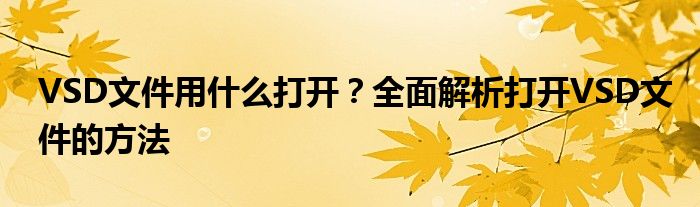 VSD文件用什么打开？全面解析打开VSD文件的方法