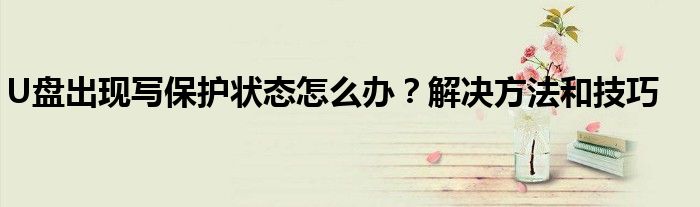 U盘出现写保护状态怎么办？解决方法和技巧