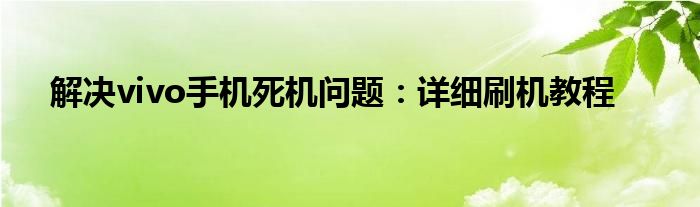 解决vivo手机死机问题：详细刷机教程
