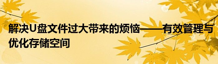 解决U盘文件过大带来的烦恼——有效管理与优化存储空间