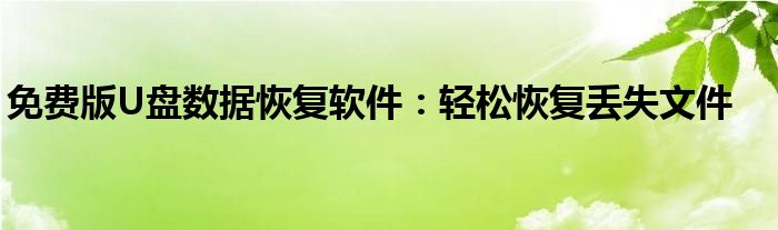 免费版U盘数据恢复软件：轻松恢复丢失文件