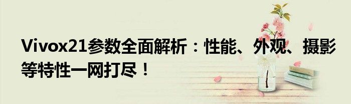 Vivox21参数全面解析：性能、外观、摄影等特性一网打尽！