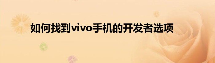 如何找到vivo手机的开发者选项