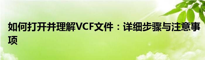 如何打开并理解VCF文件：详细步骤与注意事项