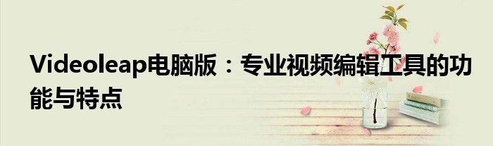 Videoleap电脑版：专业视频编辑工具的功能与特点