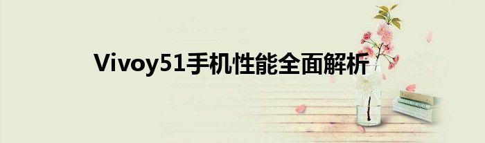 Vivoy51手机性能全面解析