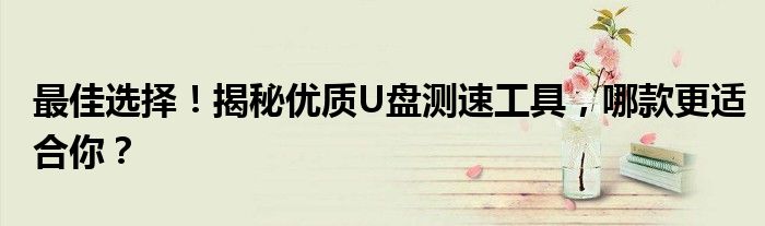 最佳选择！揭秘优质U盘测速工具，哪款更适合你？