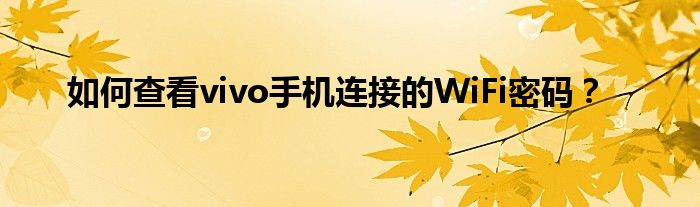 如何查看vivo手机连接的WiFi密码？