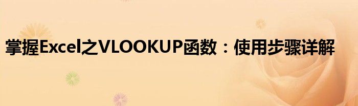 掌握Excel之VLOOKUP函数：使用步骤详解