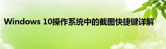 Windows 10操作系统中的截图快捷键详解