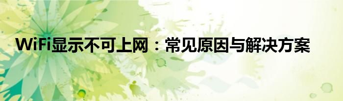 WiFi显示不可上网：常见原因与解决方案