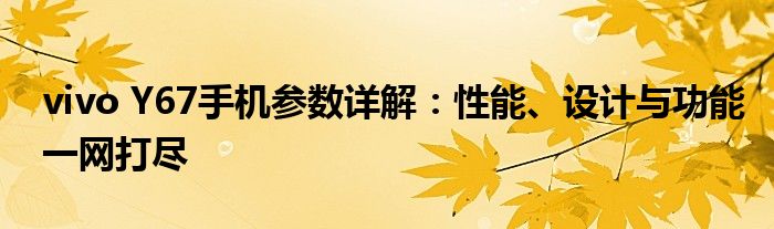 vivo Y67手机参数详解：性能、设计与功能一网打尽