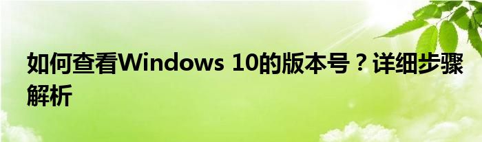 如何查看Windows 10的版本号？详细步骤解析