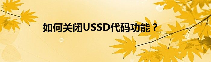 如何关闭USSD代码功能？