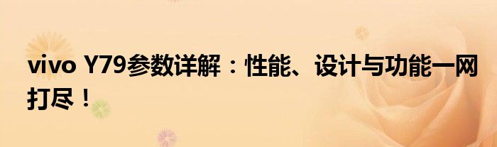 vivo Y79参数详解：性能、设计与功能一网打尽！