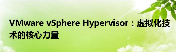 VMware vSphere Hypervisor：虚拟化技术的核心力量