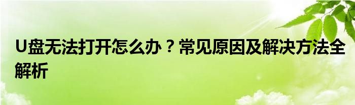 U盘无法打开怎么办？常见原因及解决方法全解析