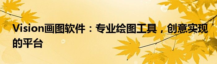 Vision画图软件：专业绘图工具，创意实现的平台