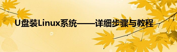 U盘装Linux系统——详细步骤与教程