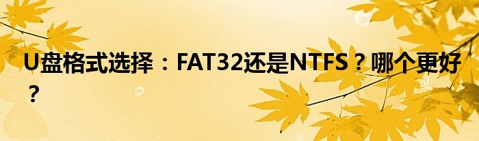 U盘格式选择：FAT32还是NTFS？哪个更好？