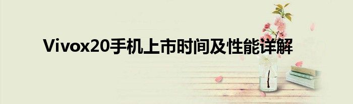 Vivox20手机上市时间及性能详解