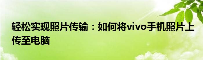 轻松实现照片传输：如何将vivo手机照片上传至电脑