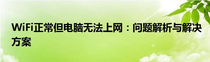 WiFi正常但电脑无法上网：问题解析与解决方案