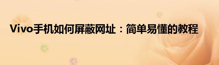 Vivo手机如何屏蔽网址：简单易懂的教程